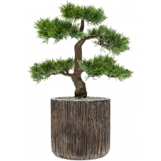 Cedar in Baq Luxe Lite Universe Waterfall