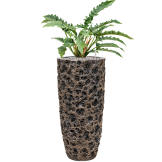 Philodendron 'Narrow' in Baq Luxe Lite Universe Moon