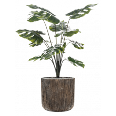 Monstera in Baq Luxe Lite Universe Waterfall