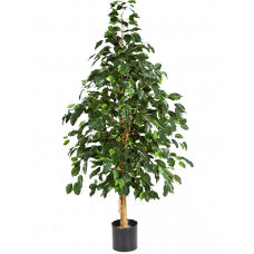 Экзотическое дерево / Natural exotica растение искусственное