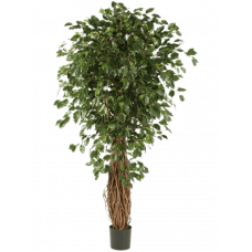 Фикус Лиана Экзотика Люкс / Ficus liana exotica растение искусственное
