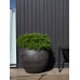 Кашпо керамическое Bundle Pot Black (set of 3)