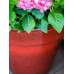 Кашпо керамическое Ashley Pot Deep Red