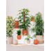 Кашпо керамическое Humus Pot Concrete