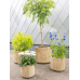 Кашпо Gabi Pot Camel (set of 5)