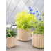 Кашпо Gabi Pot Camel (set of 3)