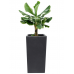 Кашпо Amfa Vase Black (set of 2)