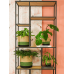 Кашпо Megan Pot Kiwi (set of 6)