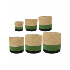 Megan Pot Kiwi (set of 6)