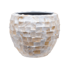 Oceana Pearl Couple White (with liner)