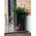 Кашпо Marrone Orizzontale (mit Einsatz) High Cube Black