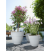 Кашпо пластиковое Vibia Campana Round White