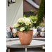 Кашпо пластиковое Artstone Bola Pot Oak