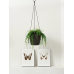 Кашпо пластиковое Brussels® Hanging Basket Anthracite