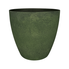 Naomi Pot Forest