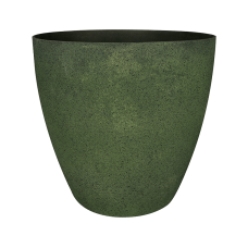 Naomi Pot Forest